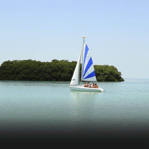 Adventures Worthington Estates School Cub Scouts Pack 365